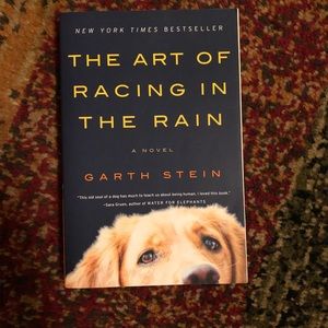 *b2g1* The art of racing in the rain book